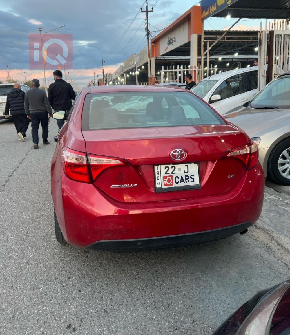 تويوتا كورولا